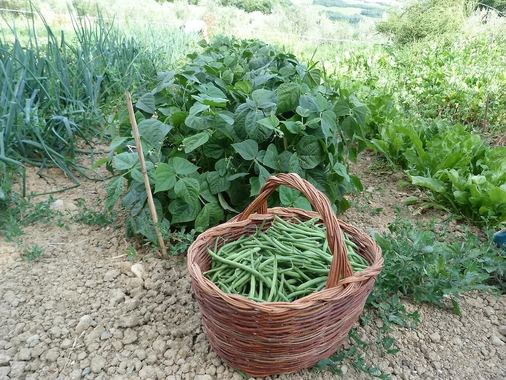 Agriturismo Apparita Montecastelli Pisano 农家乐