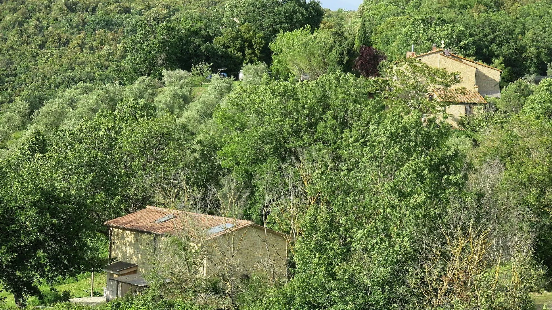 Agriturismo Apparita Montecastelli Pisano