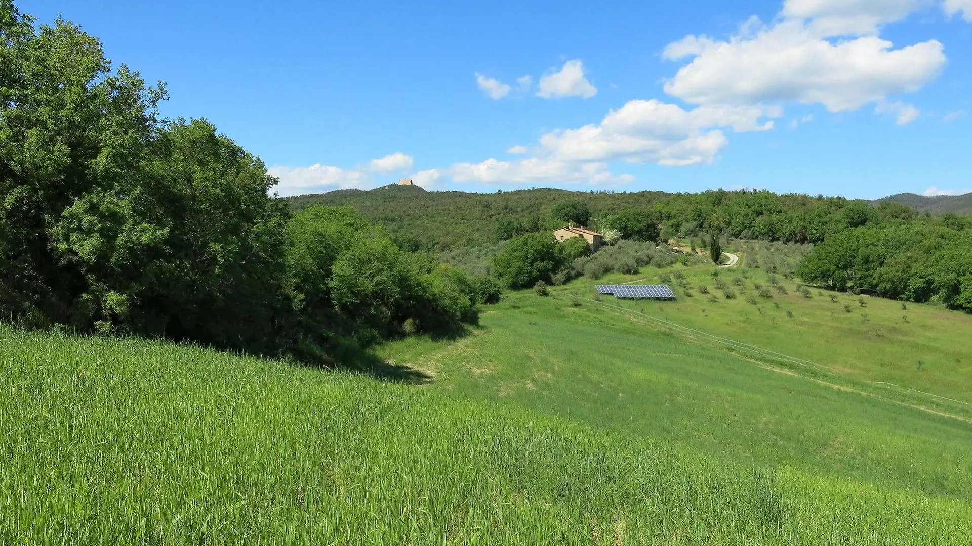 农家乐 Agriturismo Apparita Montecastelli Pisano 意大利